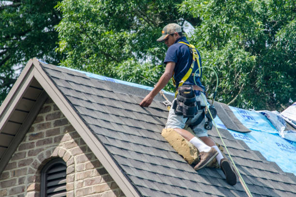 Best Roof Waterproofing Services  in Smithville, OH